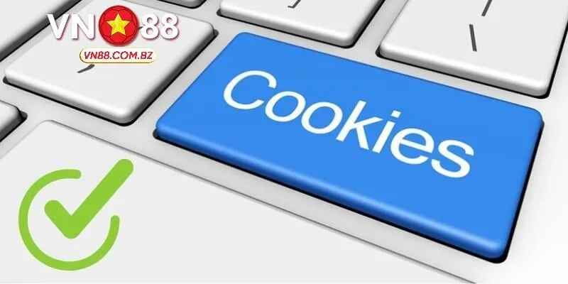 Những nội dung hiện có ở chính sách cookie