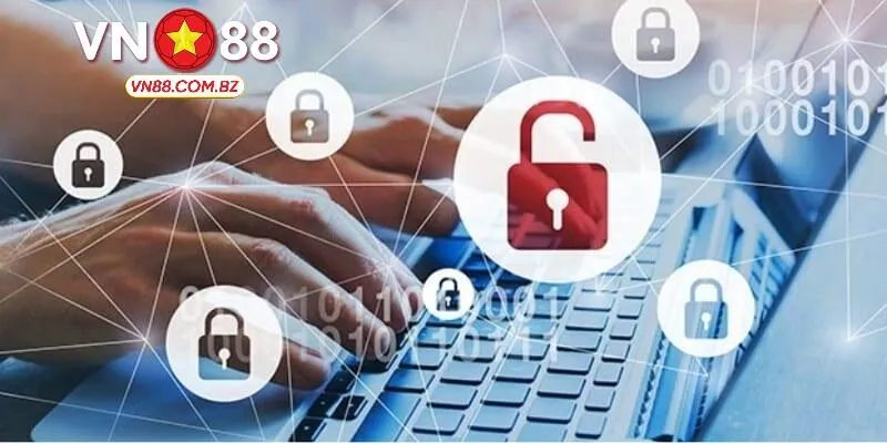 Những dạng dữ liệu thu thập quy định trong chính sách